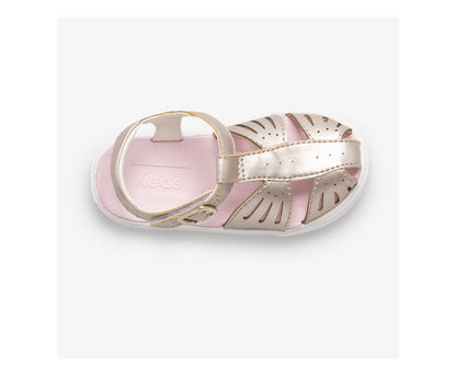 Keds | Big Kid's Daphne Butterfly